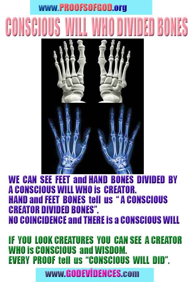 proofs of god, evidences of god 