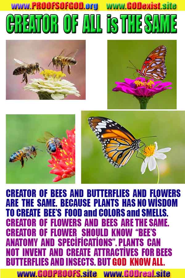 proofs of god, evidences of god