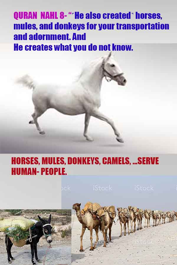 proofs of god, evidences of god