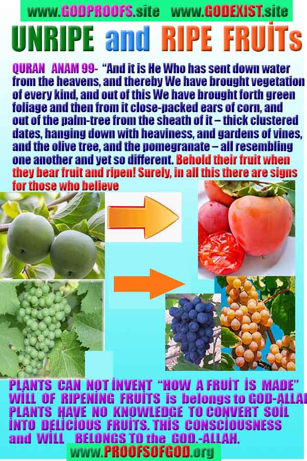 proofs of god, evidences of god