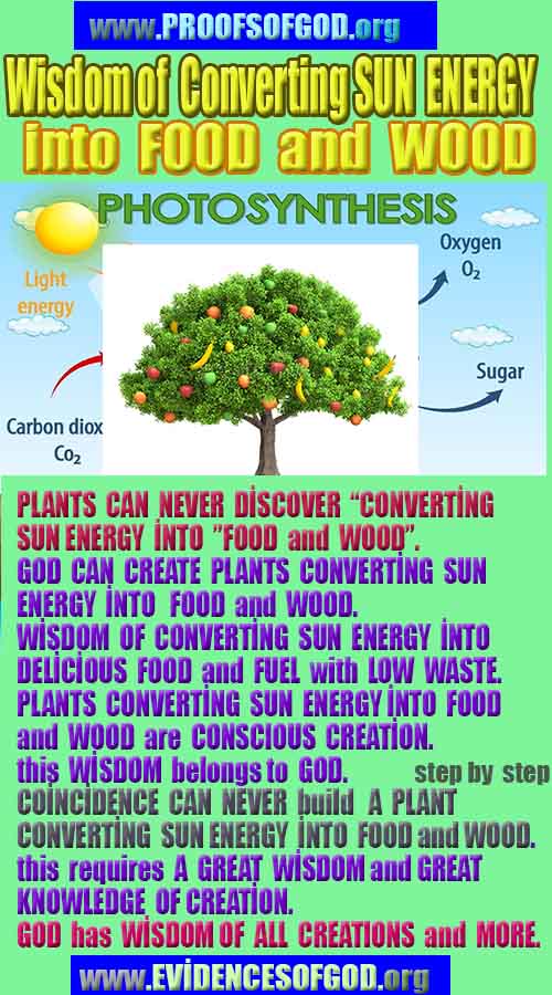 proofs of god, evidences of god