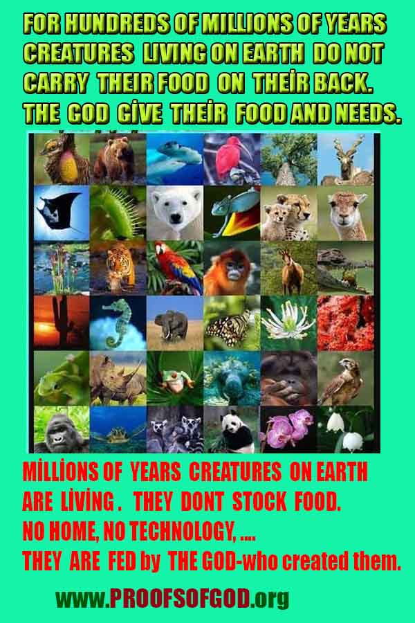 proofs of god, evidences of god